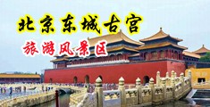 插逼爽歪歪中国北京-东城古宫旅游风景区